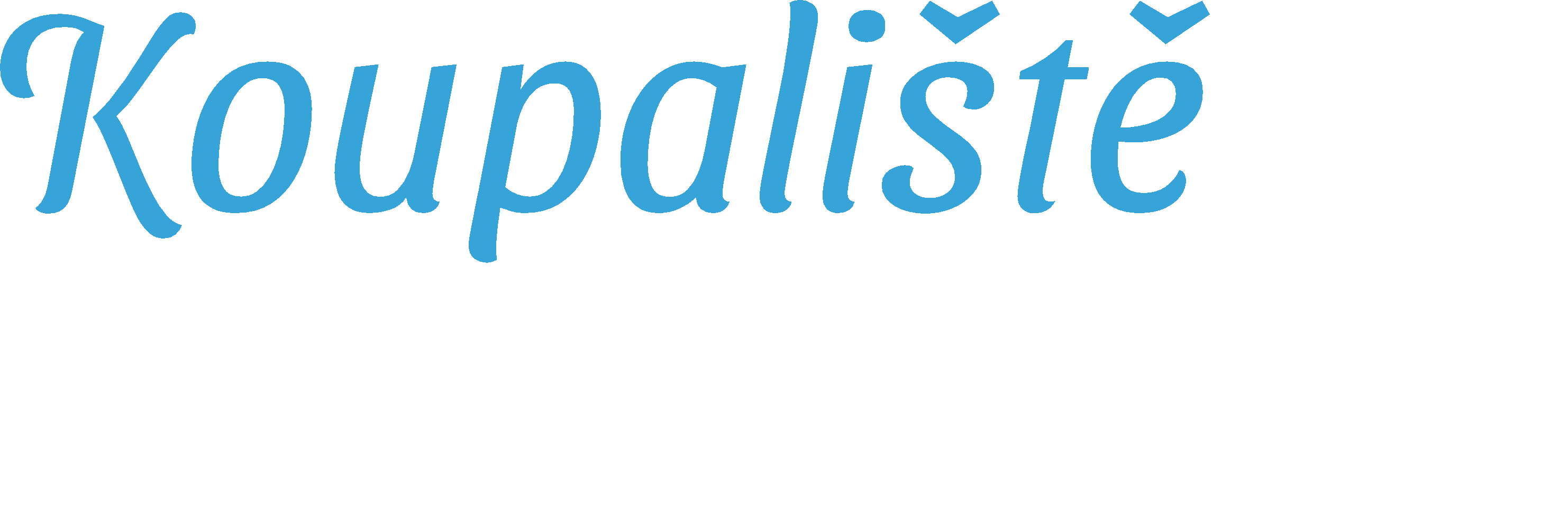 Primary Raster logo